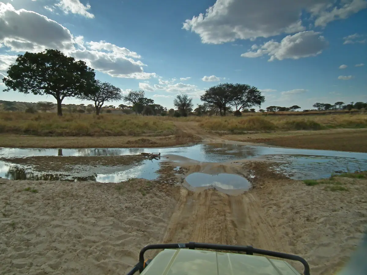 Blick aus einem Safarifahrzeug auf eine Piste durch eine flache Wasserstelle