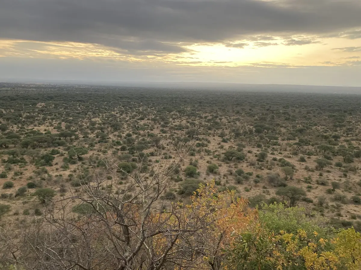 Blick von den Hügeln über den Busch des Tarangire in der Dämmerung